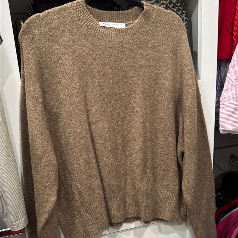 Zara Brown Crewneck Sweater